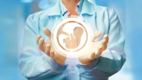 Embryology Hands-On Training Programs