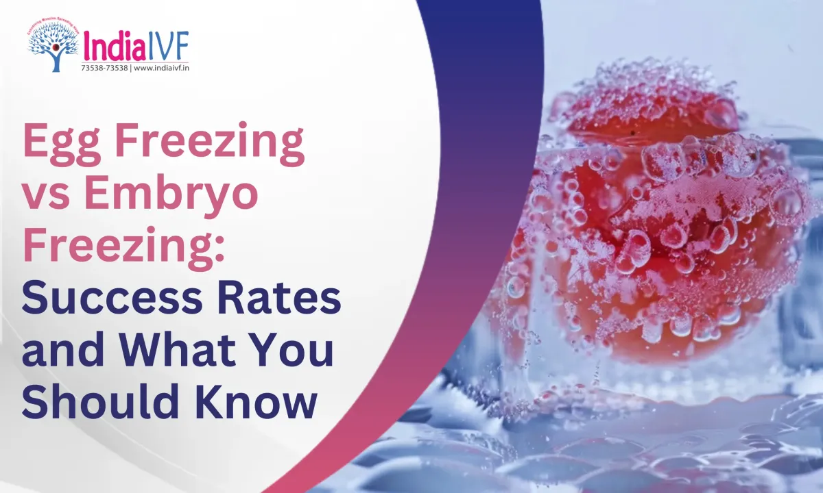 Egg Freezing vs. Embryo Freezing: Success Rates and What You Should Know
